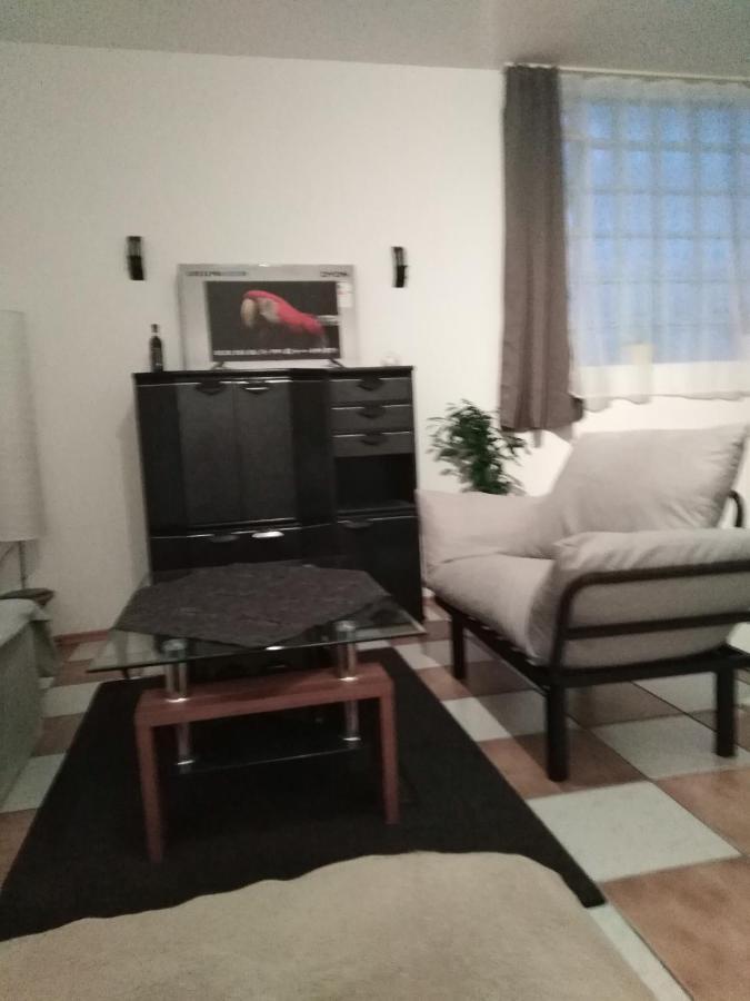 Studiowohnung, Neu Renoviert, Zentrale Lage Saarlouis Buitenkant foto